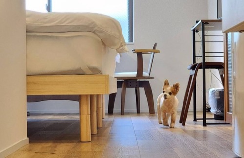 Sumoto Onsen House | Tizwanhotel 1011 minute walk from the beachUp t / Sumoto Hyōgo