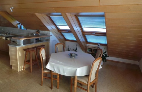 Heiligenmoschel Apartment | To the beautiful view - 4-bed apartment