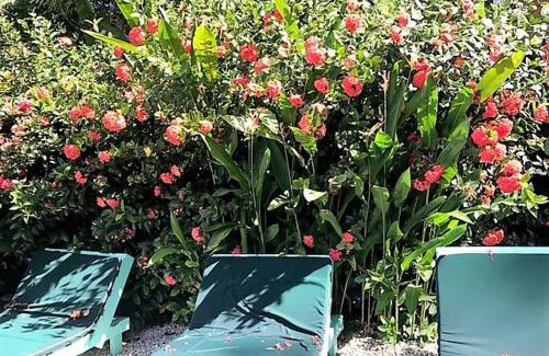 Bethel Apartment | Tobago Hibiscus Golf Villas & Appartments