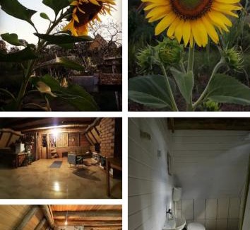 Dionisio Cerqueira House | Toca das Sementes