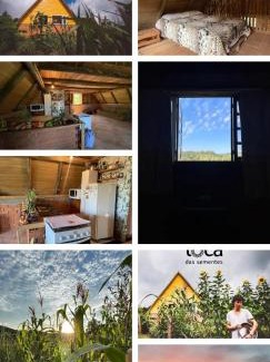 Dionisio Cerqueira House | Toca das Sementes