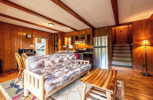 Blue Ridge Cabin | Toccoa River Views — Hot Tub — Two Units