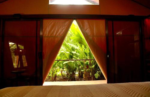 Cano Negro Other | Tocu Tent Camp All Meals Included