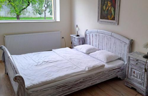 Reghin House | Todea House