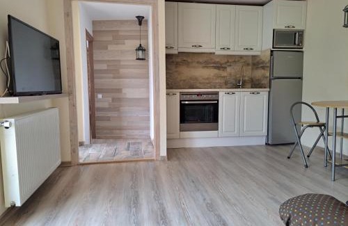 Reghin House | Todea House