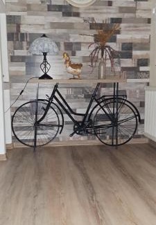 Reghin House | Todea House