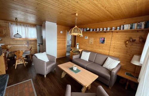 Bettmeralp Apartment | Toggi EG