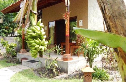 Goris House | Toke Menjangan