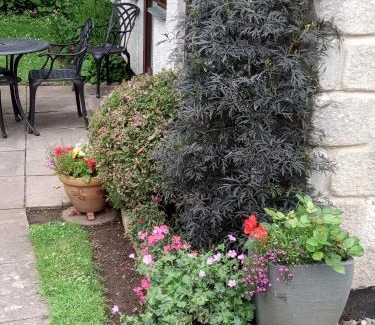 Chysauster House | Tolpedn Cottage