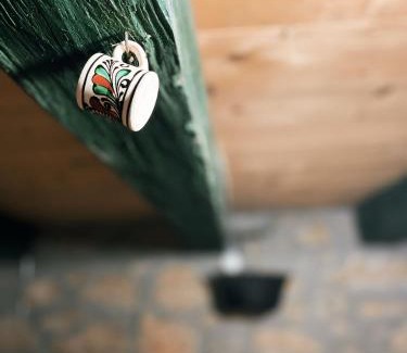 Sincraiu House | Toma Guesthouse