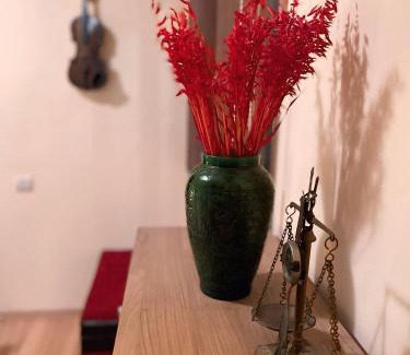 Sincraiu House | Toma Guesthouse