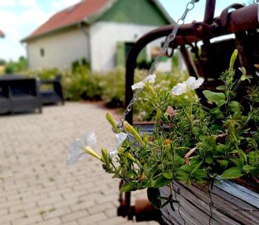 Tomajmonostora Apartment | Tomaj Vendégház