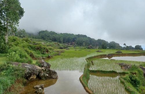 North Toraja House | Tongkonan KALE Landorundun