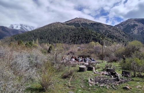 Kegeti Other | Toodo - vacation in the mountains camp