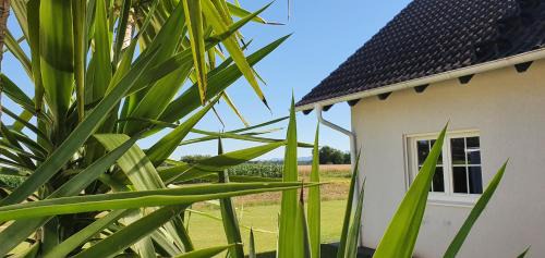 Urloffen House | top Haus 160m2 Europapark,Strasburg,Schwarzwald
