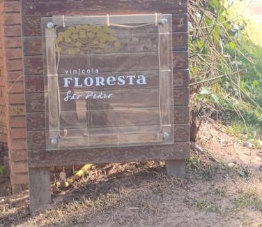 Espirito Santo Do Pinhal House | Top House