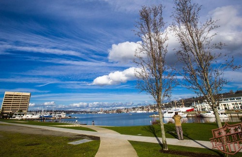 North Queen Anne House | Top of Queen Anne Lower Level 2 bedroom