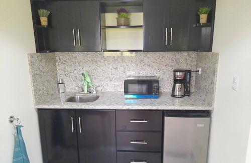 Tronadora Apartment | Top Rated - Stunning Lake View Arenal Suite