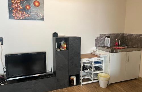 Enns House | TOP3 Schönes Apartment für max 5 Personen