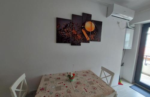 Bacau Apartment | Topaz Central Apartment