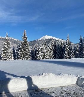 Bukovel Ski Chalet | TOPHILL House