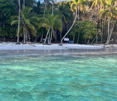 Cerro Plano Other | Tour de Bioluminisciencia con Camping