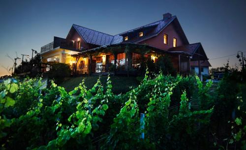Ljutomer Hotel | Tourism Tompa