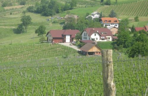 Maribor House | Tourist Farm Joannes