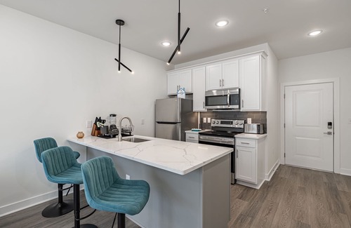 Mosby Apartment | Tourist Home of Richmond 1 bedroom apartment - Church Hill North TH03