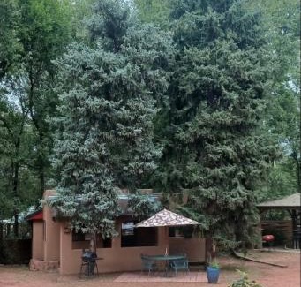 Manitou Springs Cabin | Town-N-Country Cottages
