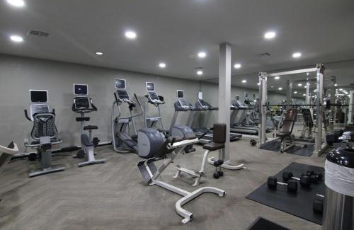 Houston Apartment | Towne Plaza Apartments #104 in the Galleria Area