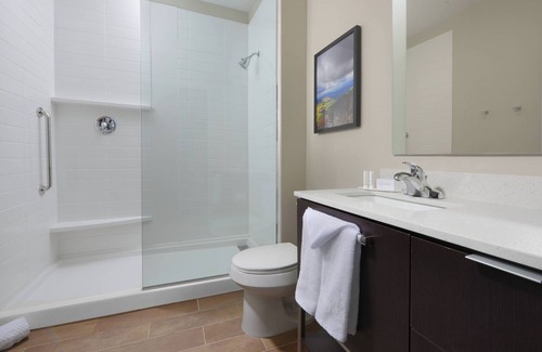 Lone Tree Hotel | TownePlace Suites by Marriott Denver South/Lone Tree