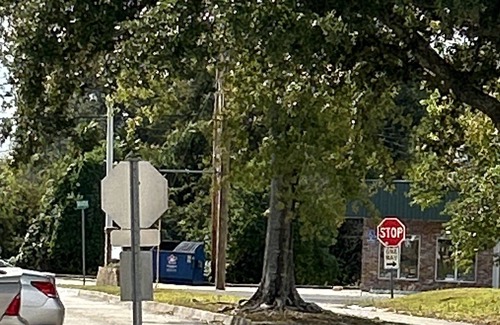 Bayou Cane House | . Townhome in Houma Louisiana. Second largest Mardi Gras in the U. S.