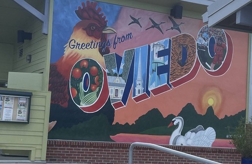 Oviedo House | Townhome - Oviedo on the Park! Close to UCF, restaurants, shopping and the 417!