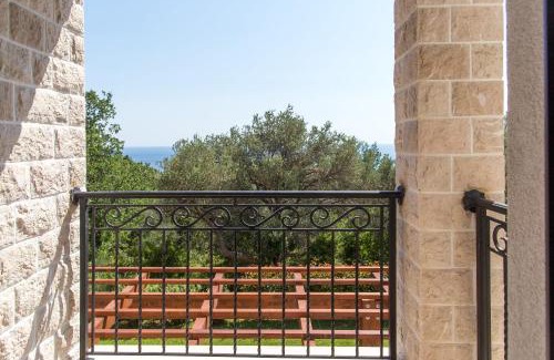 Drobnici Villa | Townhouse Virginia