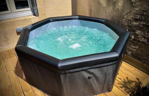 Scey-sur-Saone-et-Saint-Albin Apartment | Très bel appartement avec jardin et Jacuzzi