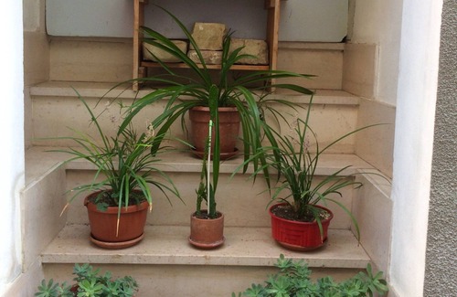 Castiglione Messer Raimondo House | Traditional stone townhouse. Full of charm. Feel like a treasured family guest!
