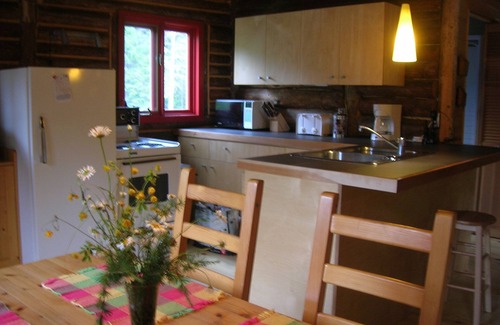 Mauricie Ski Chalet | traditional chalet log