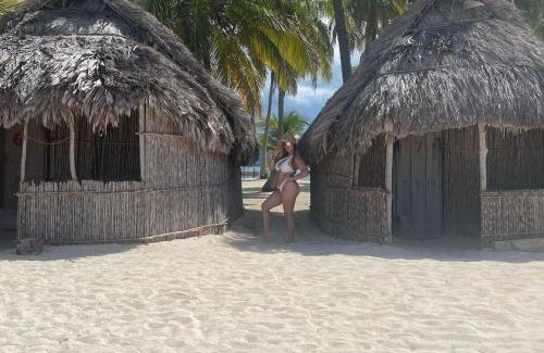 San Francisco Apartment | Traditional Cabin on Aroma Island