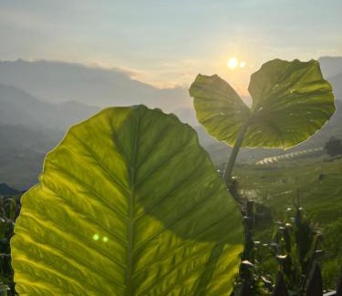 Hau Thao Apartment | Traditional Hmong House Among Rice Fields