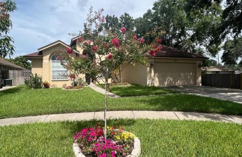 Town 'n' Country House | Traditional Home in Tampa