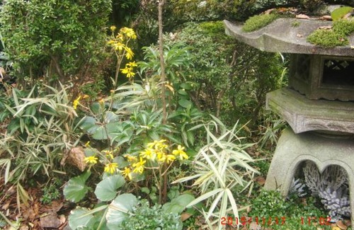 Hirakata House | Traditional Japanese House with beautiful garden