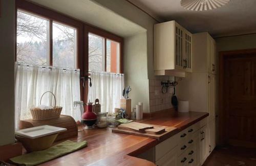 Vransko Apartment | Traditional Slovenian house