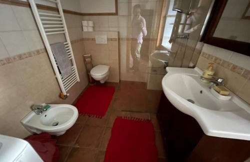 Vransko Apartment | Traditional Slovenian house