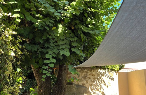 Cauro House | Traditional village house, 15 minutes from the beach.