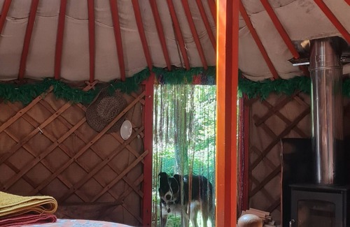 Lydney Bed & Breakfast | Traditional Yurt, woodburner, private loo, outdoor shower, woodfired hottub.