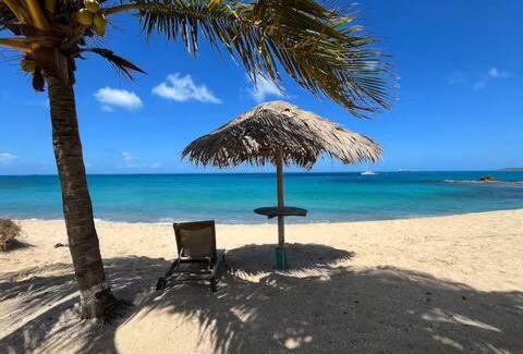St. John's Apartment | Trafalgar Apartments - Unit #15 Starfish Villa