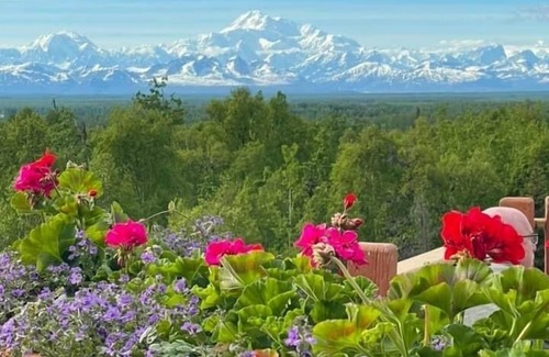 Susitna North House | Trail House, Denali Brewing, Netflix, Concert, Fire Pit, Family, Race, festival