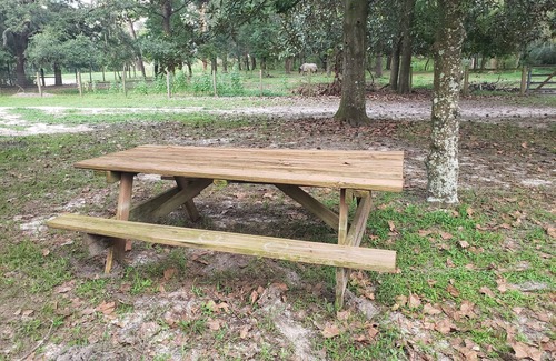 Lecanto House | Tranquil Escape on Forest, Near Fishing, Scalloping, and Manatees
