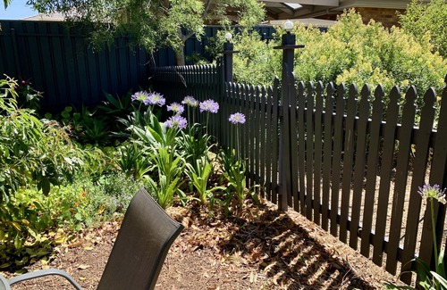 Windsor Gardens Apartment | Tranquil Garden Retreat in Adelaide - Julie’s Place